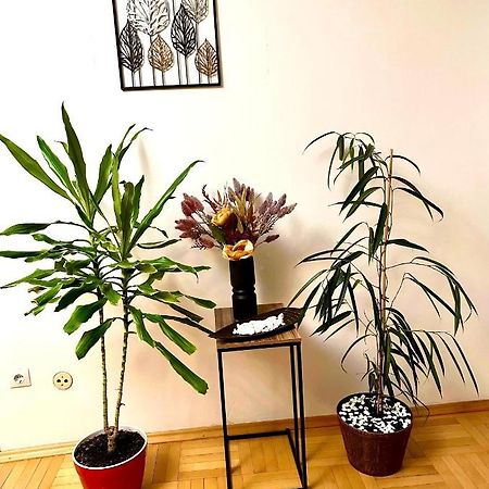 Vintage Bucharest Apartment 외부 사진