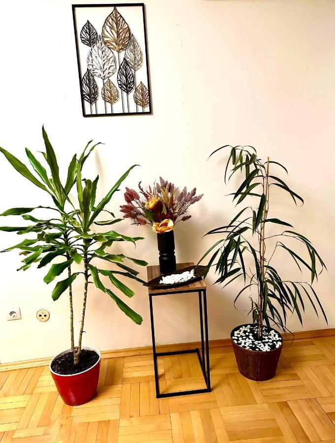 Vintage Bucharest Apartment 외부 사진